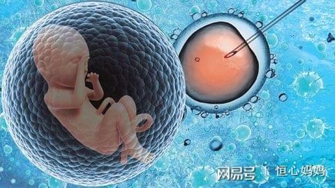 试管代孕包成功男孩
